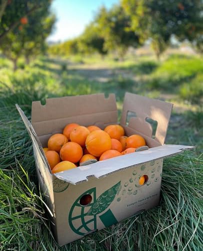 Caja de Naranjas de Zumo - Origen: Valencia - 5 kg, 10 kg y 15 kg