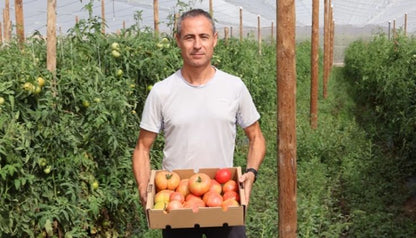 Tomate Variado de Rubén Díaz, Origen Benicarló