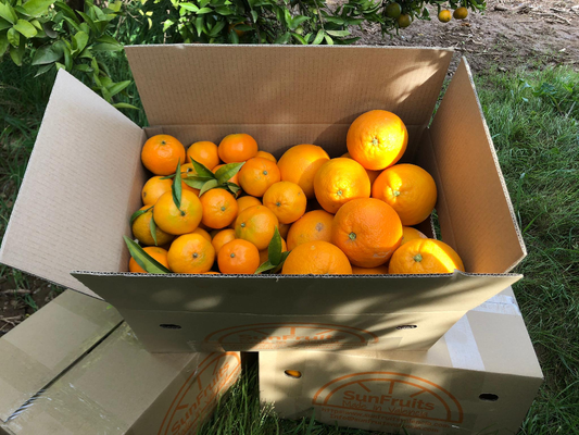 Caja Mixta de Naranjas y Mandarinas - Origen: Valencia - 5 kg, 10 kg y 15 kg