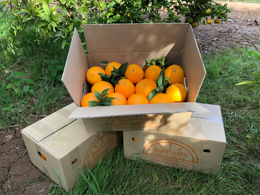 Caja de Naranjas de Mesa - Valencia - 5 kg, 10 kg y 15 kg