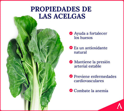 Acelga Larga - Manojo (aprox. 1 kg/unidad) - 2,49 €/kg